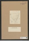 Diatomeae indet. Zeichnungen Sammlung Grunow Nr. 7541 (NHMW-BOT-W0376684)